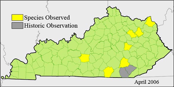 Species occurrence map